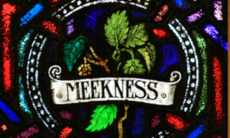 Meekness is not Weakness