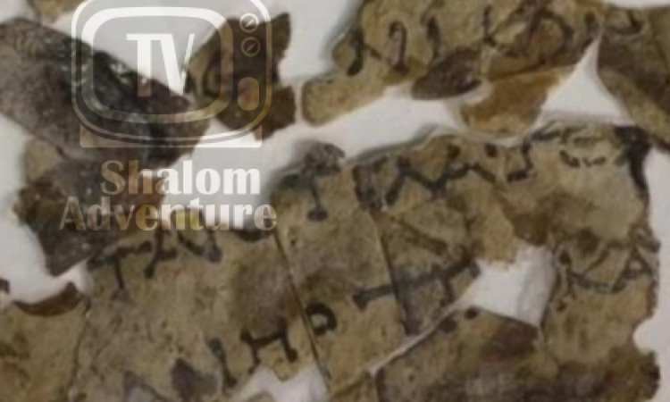 Biblical Scroll Pieces Unearthed in Historic Discovery