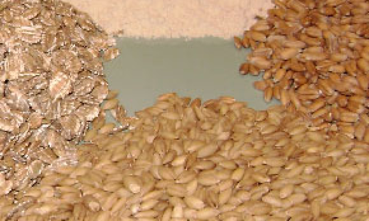 Gluten Intolerance