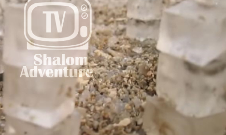 Dead Sea Amazing Natural Phenominon - Dead Sea Salt Cubes