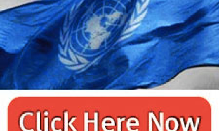 Is the U.N. biased on Israel?
