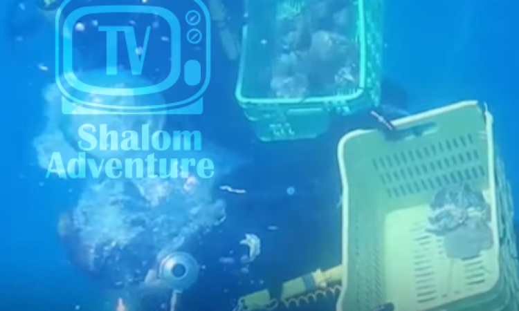 Israeli Navy's Underwater Operation: Coral Transport