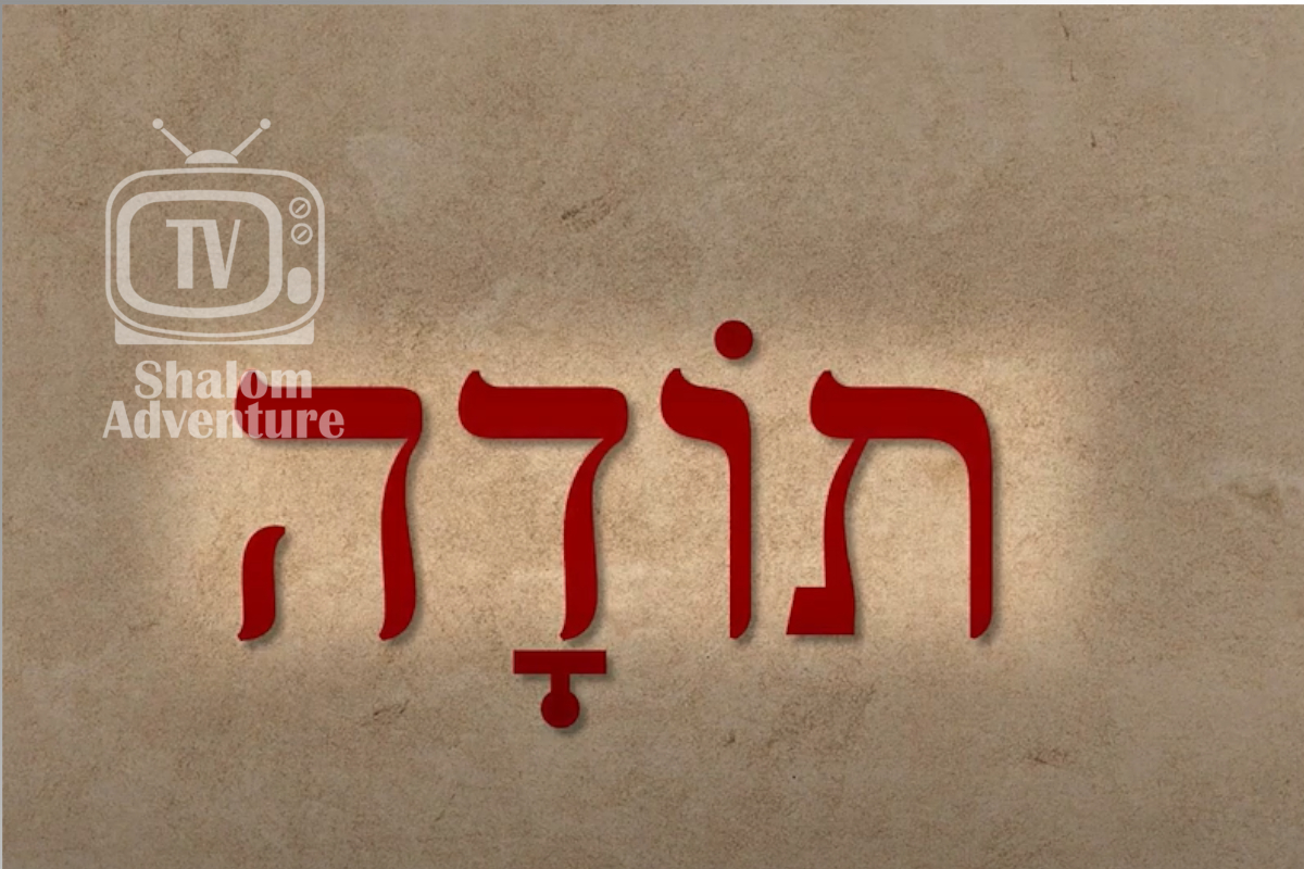 Hebrew letters spell the word Toda that means thank you.