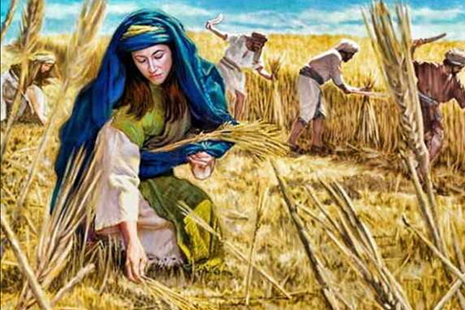 A Harvest of Blessing