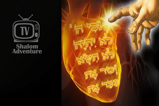 Exodus 19, 24 & Deuteronomy 4, 5: The Old and New Covenant at Mt. Sinai